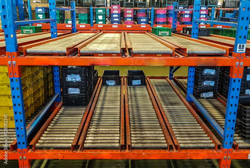 conveyor rollers in distribution warehouse or storehouse