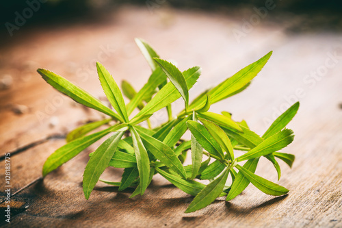 Fresh tarragon on wooden background