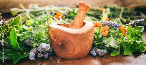 Panel kuchenny z motywem Variety of herbs and mortar on wooden background, banner