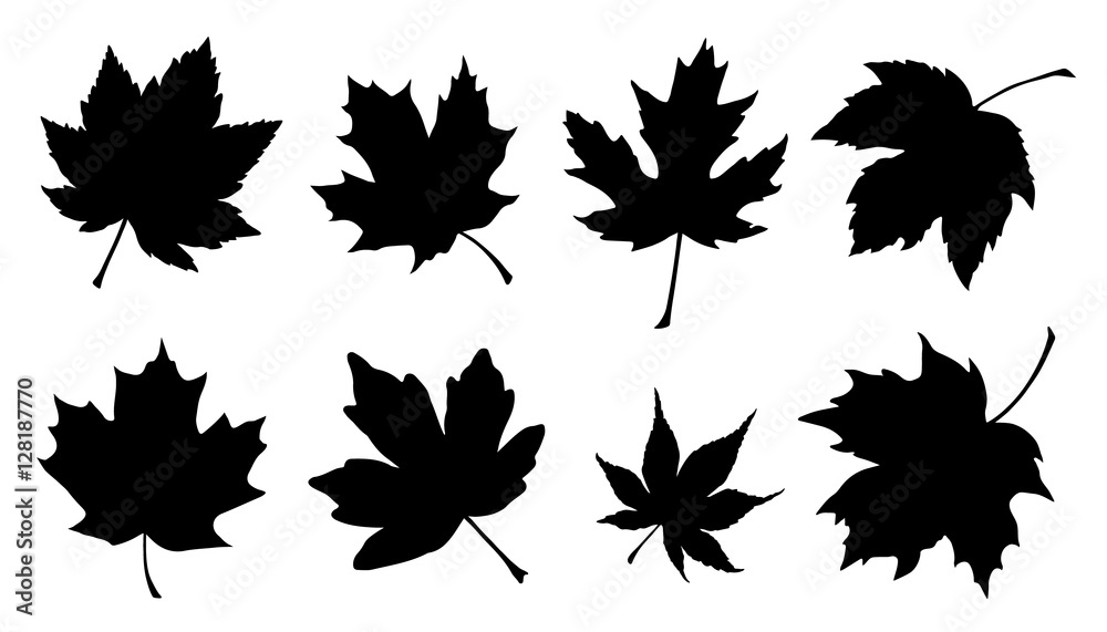 maple leaf silhouettes - obrazy, fototapety, plakaty 