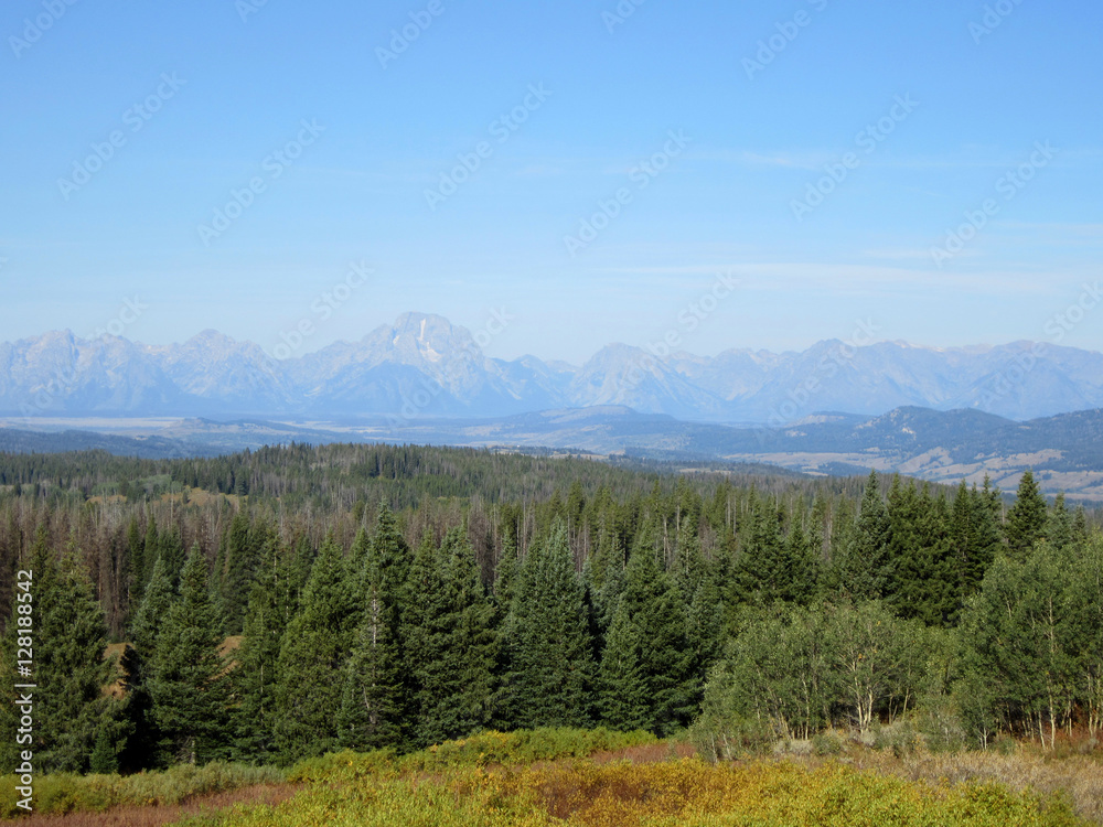 Grand Teton landscape
