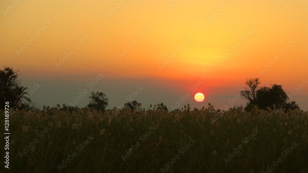 Sunset at Okavango Delta in Botswana