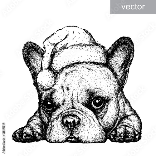 French bulldog, black and white engrave. Christmas hat. vector