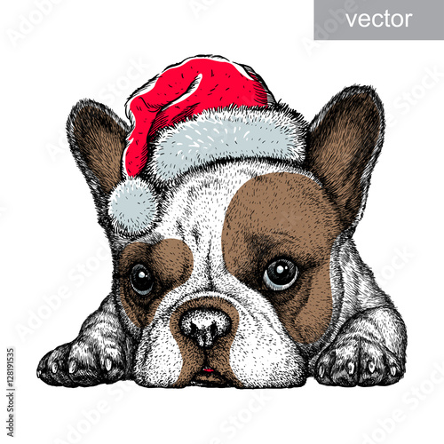 French bulldog, black and white engrave. Christmas hat. vector