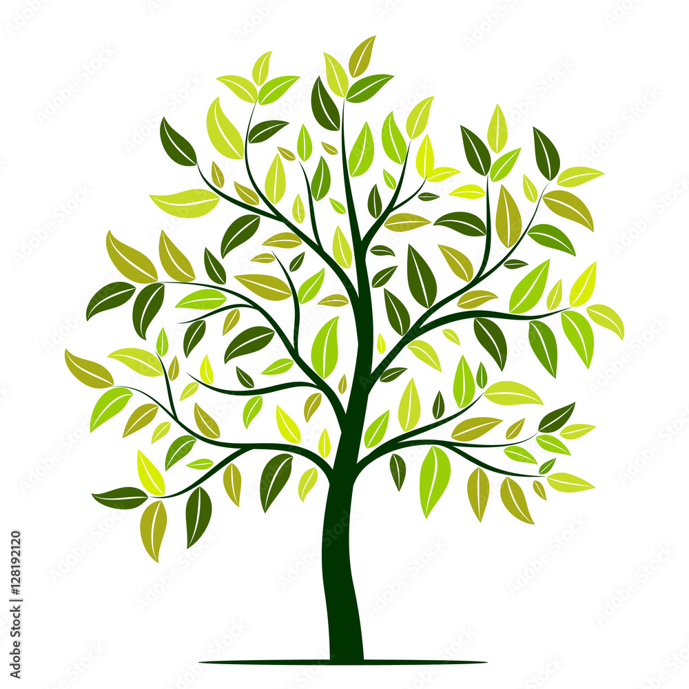 Green tree with leaves vector Green tree with leaves vector