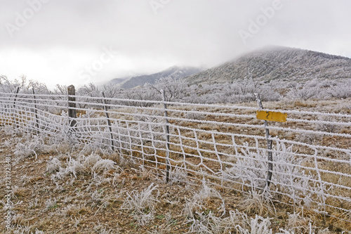 Texas Ranch in an Ice Storm photo