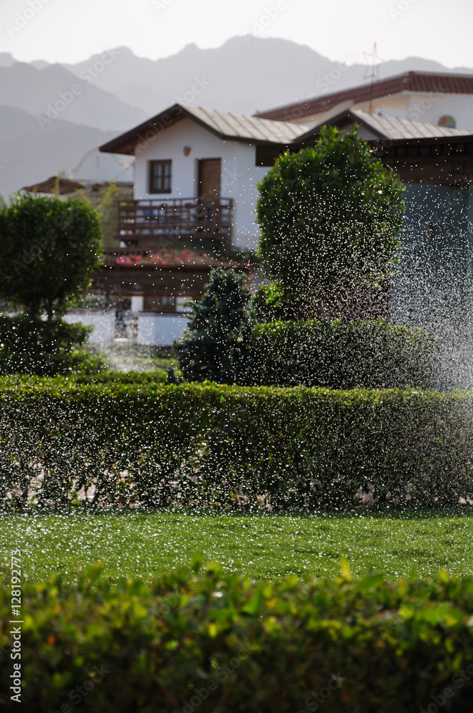 Obraz premium Sprayed water drops on a poured lawn and the distant misty house