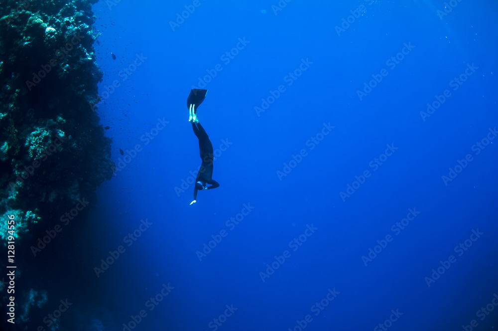 Freediver moves underwater along coral reef - obrazy, fototapety, plakaty 