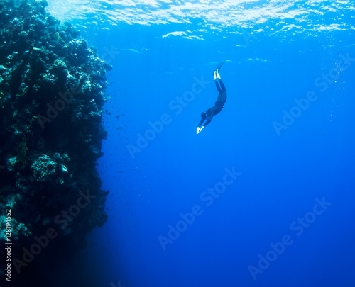 Vászonkép Freediver moves underwater along coral reef