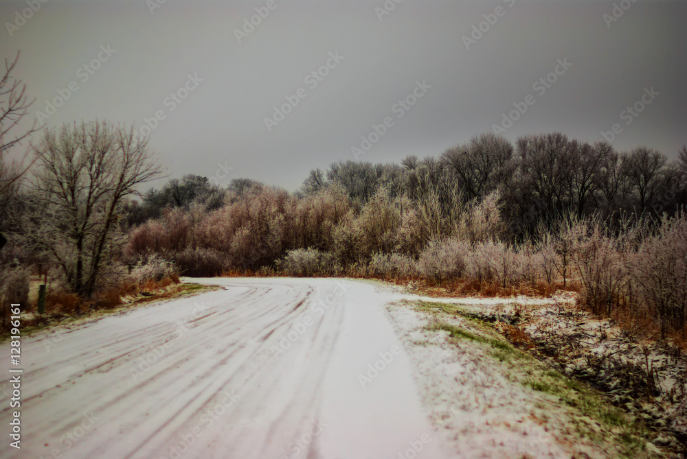 Rural gravel road covered in snow and surrounded by beauty