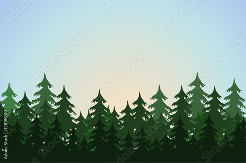 landscape with fir trees, forest background, hand drawn vector illustration