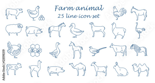 Fototapeta Naklejka Na Ścianę i Meble -  Farm animal thin line collection. 25 icon set. Flat design