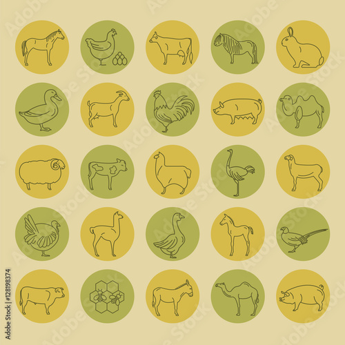 Farm animal thin line collection. 25 icon set. Flat design