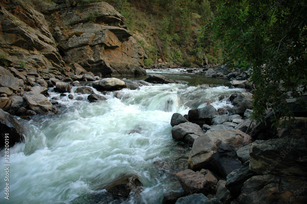 A Mountain River Flowing Across Rocky Rapids in the Colorado Wilderness A Mountain River Flowing Across Rocky Rapids in the Colorado Wilderness