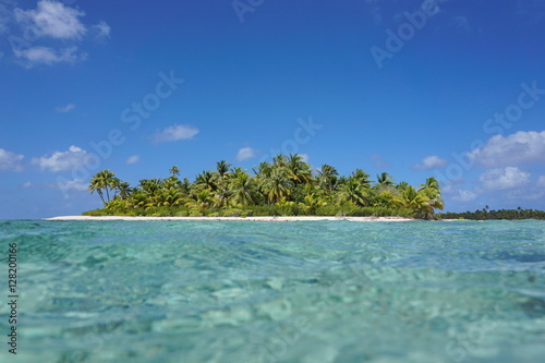 Pristine tropical island with turquoise water seen from the sea surface in the lagoon, atoll of Tikehau, Tuamotu archipelago, French Polynesia, Pacific ocean © dam