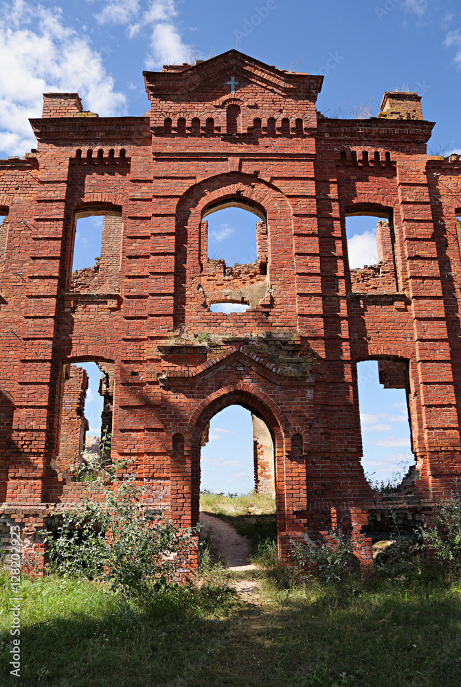 Naklejka premium Remains