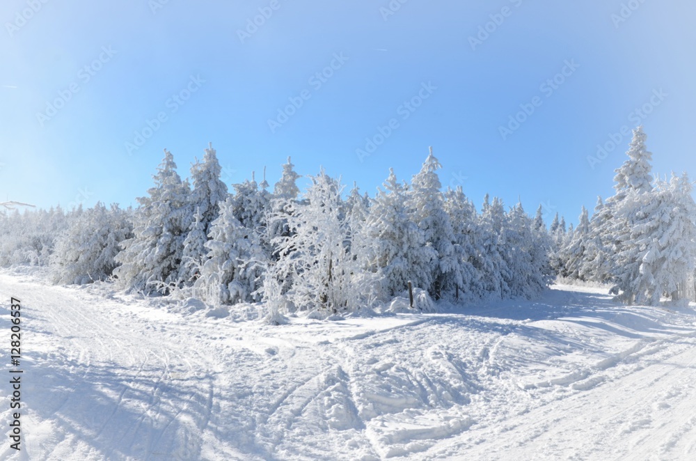Weiße Winterlandschaft schneebedeckt - Wintersport Weiße Winterlandschaft schneebedeckt - Wintersport