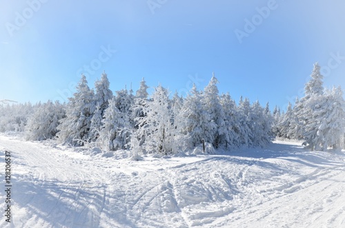 Weiße Winterlandschaft schneebedeckt - Wintersport