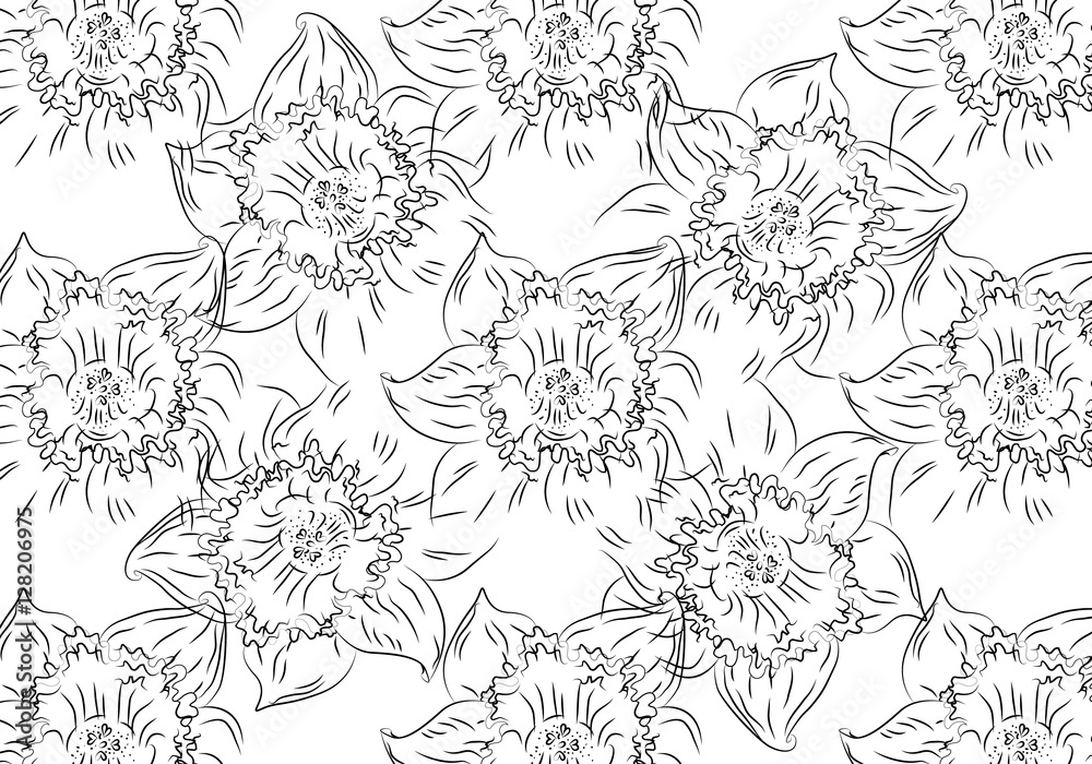 Flower. Hand drawn sketch tutsan, hypericum, narcissus, cherry flowers.