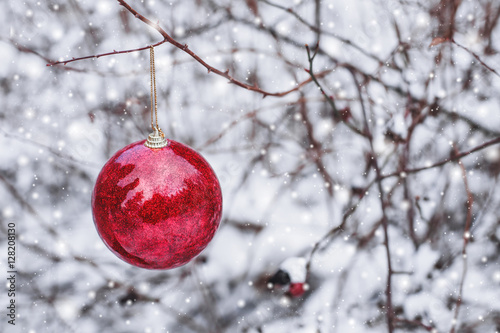 Red Christmas ball hanging on a snowy branch in the winter forest. Merry Christmas and Happy New Year theme