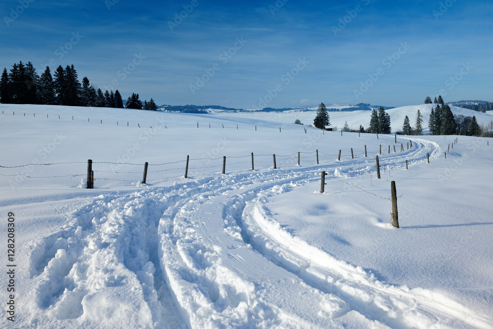 Schlittenspuren in tief verschneiter Winterlandschaft, Bayern, Deutschland