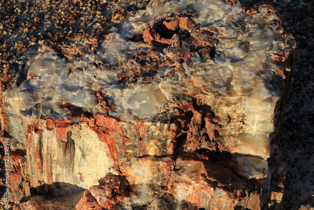 Crystal wood in Petrified Forest in USA Crystal wood in Petrified Forest in USA