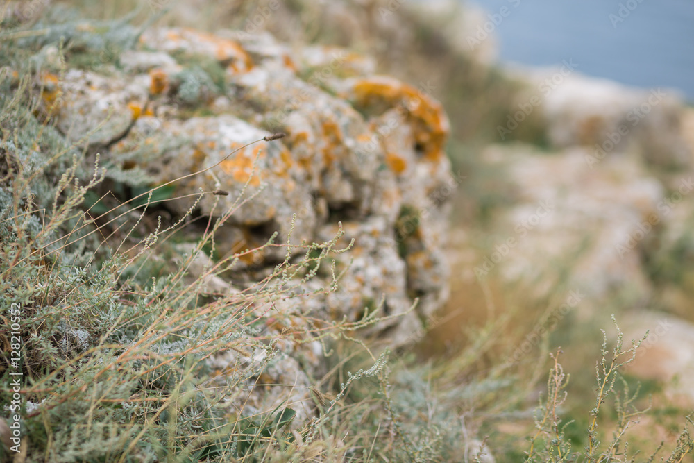 Old gray stone wall with green moss texture background Old gray stone wall with green moss texture background