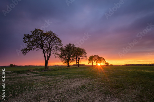 Beautiful colorful sunset with rays over the field by the trees.