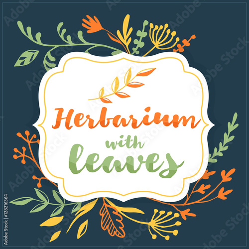 Decorative frame - Herbarium with leaves  set of decorative vector herbs and branches  hand drawn lettering. Ink style simple illustration with botanical sketches
