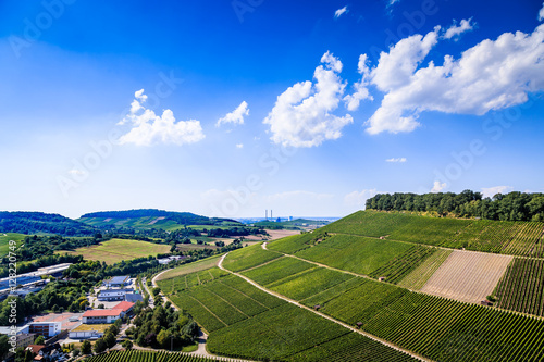 Weinanbau in weinsberg am Neckar wein reben