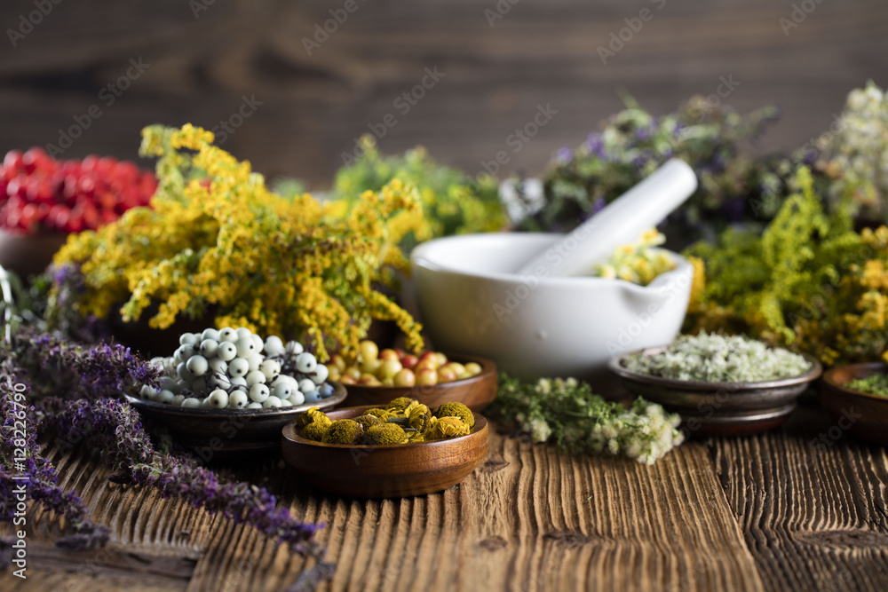 Assorted natural medical herbs and mortar Assorted natural medical herbs and mortar