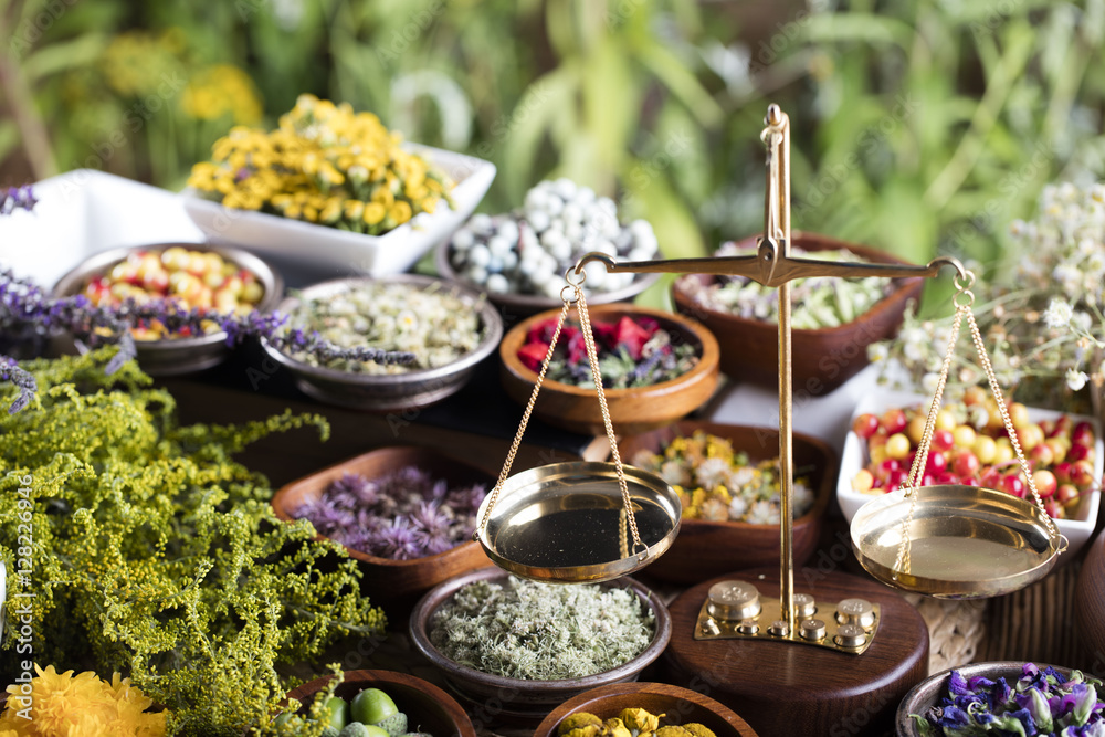 Assorted natural medical herbs and mortar Assorted natural medical herbs and mortar