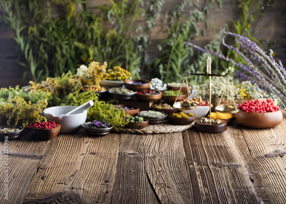 Assorted natural medical herbs and mortar