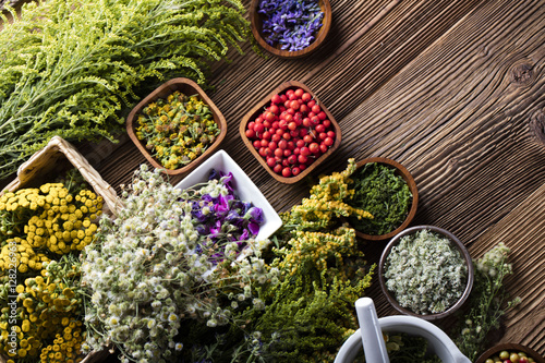 Assorted natural medical herbs and mortar