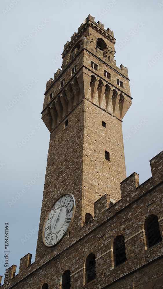Medici Tower
