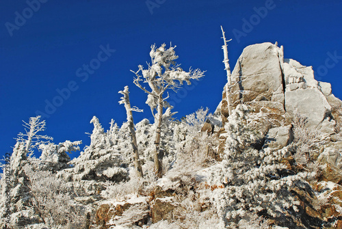 Winter mountain landscape of Jiri.Mt. with no people,  snow mountain in the morning.  blue sky and white mountain. frozen tree on the mountain.