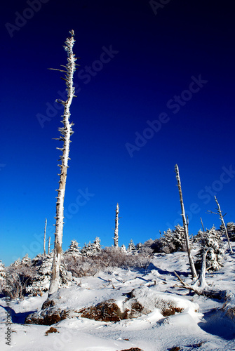 Winter mountain landscape of Jiri.Mt. with no people,  snow mountain in the morning.  blue sky and white mountain. frozen tree on the mountain.