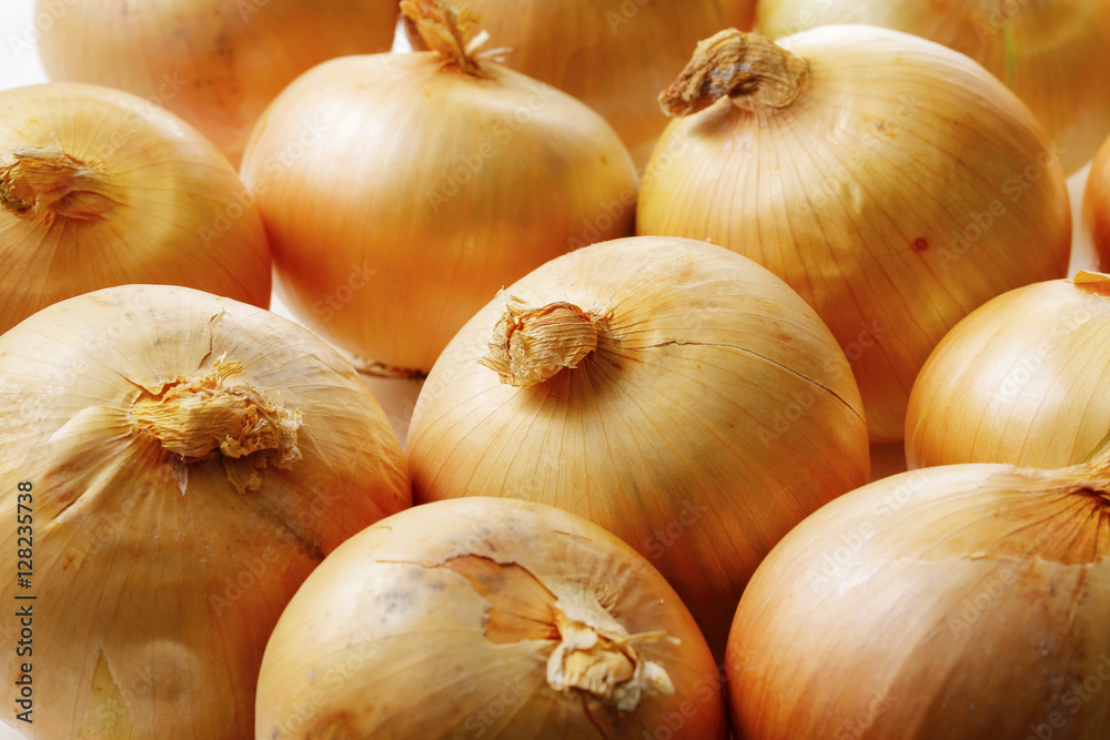 Fototapeta premium たまねぎ Onions
