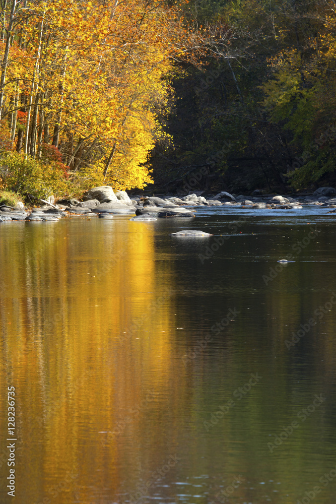 Vivid fall foliage reflects on the Farmington River, Canton, Connecticut.