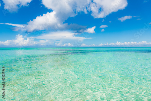 sandy sea beach