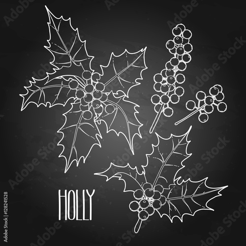 Graphic holly collection