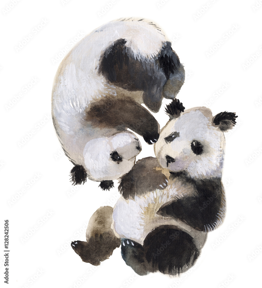 Upended panda bears isolated on a white background, watercolor