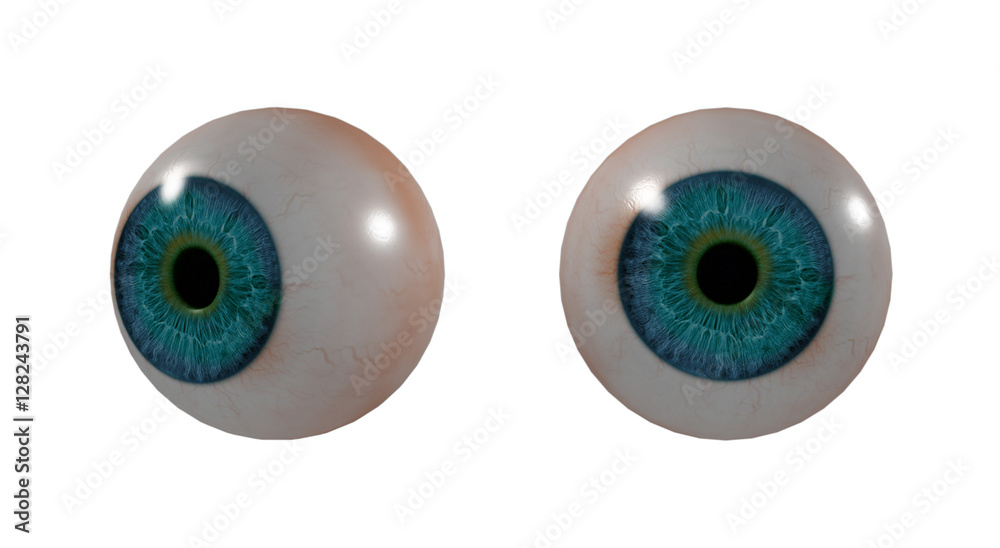 3D medical illustration of the eye 3D medical illustration of the eye