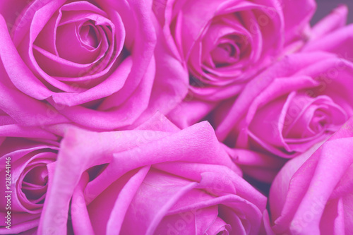 Beautiful bouquet, closeup. Floral background.