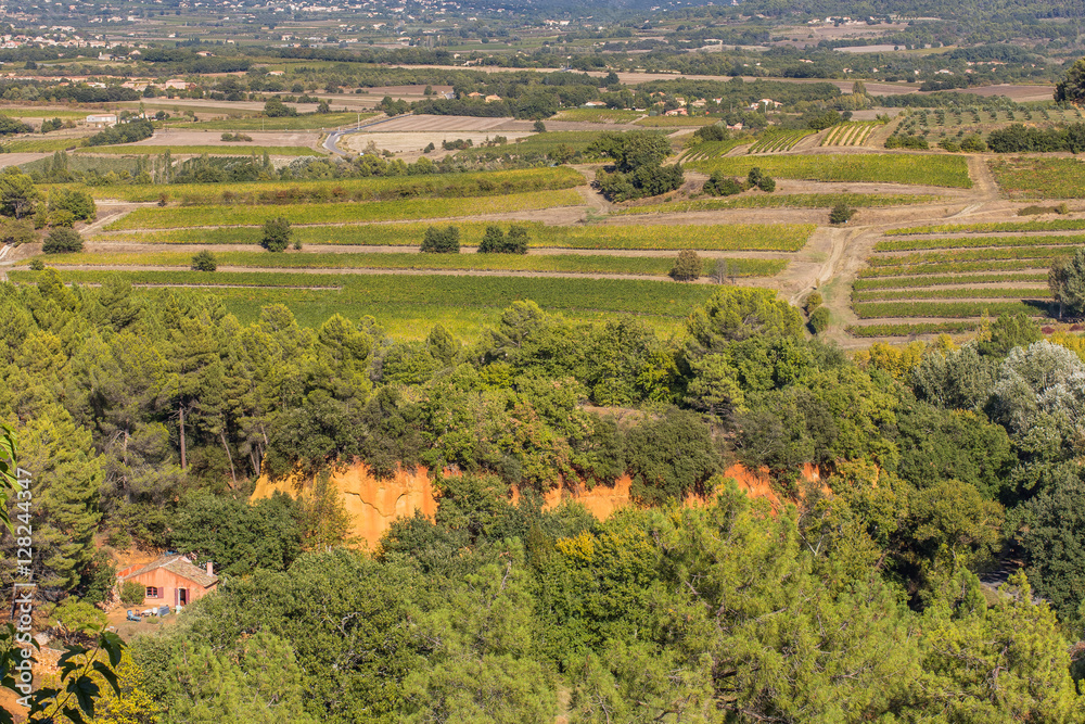 Obraz premium paysage de campagne viticole du Vaucluse vu du village de Roussillon
