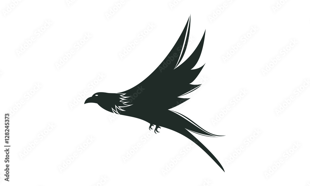 Obraz premium piegon vector1