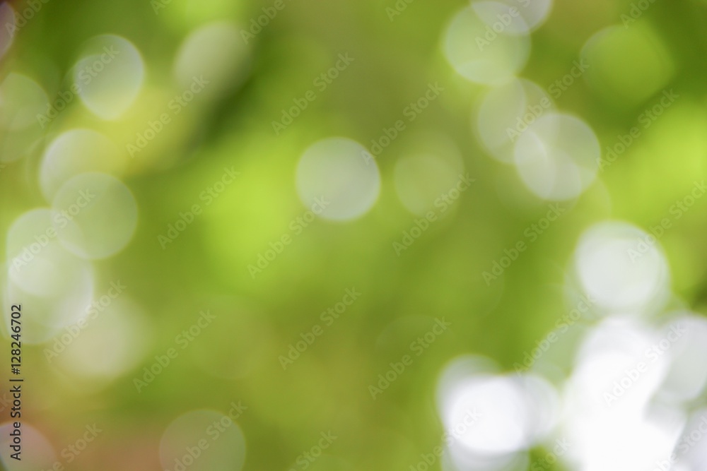 Bokeh natural color background, colorful  leaf of the tree 