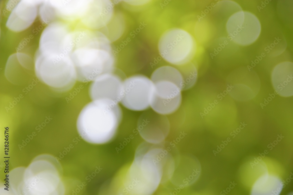 Obraz premium Bokeh natural color background, colorful leaf of the tree 