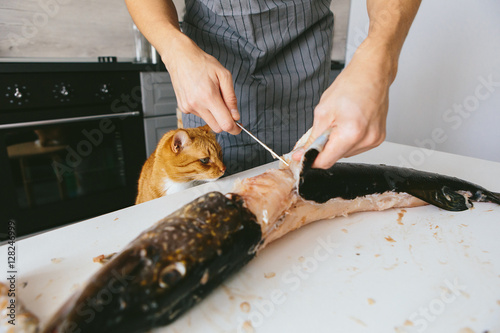 Male cook in the kitchen cut the pike. Red Cat pulls a paw to the fish.