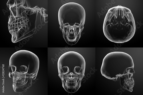 3d render illustration of the skull photo